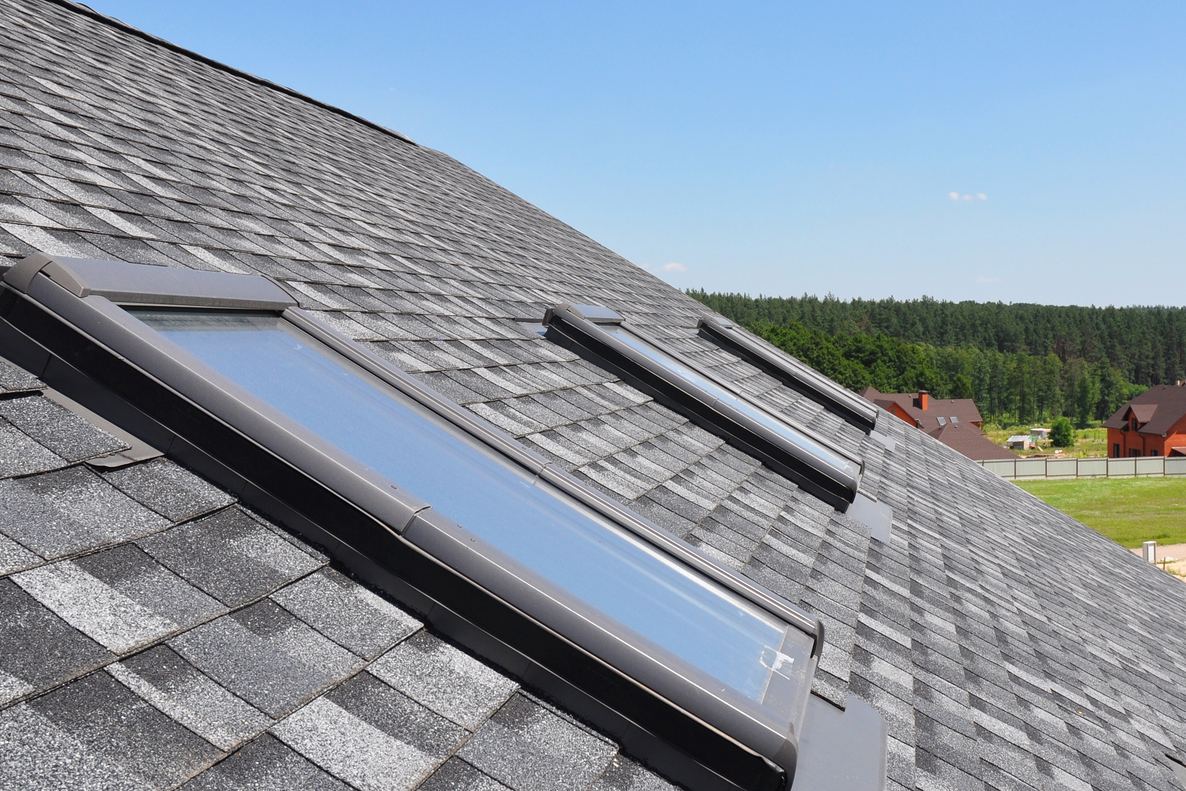 Architectural shingle roof with skylights against an evergreen forest backdrop